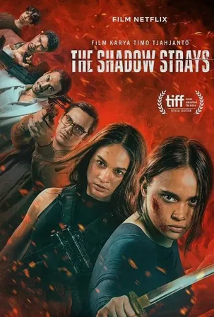 the-shadow-strays-นักฆ่าเงาล่าทรชน-2024